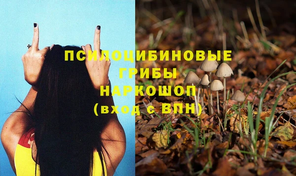 прущий лед Алексин
