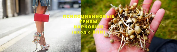 прущий лед Алексин