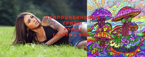 прущий лед Алексин