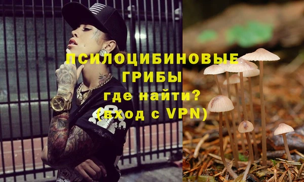 прущий лед Алексин