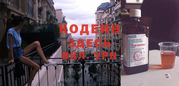 прущие грибы Переславль-Залесский