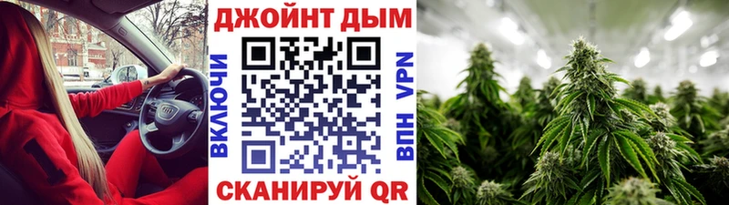 как найти наркотики  Куртамыш  Бошки Шишки семена 
